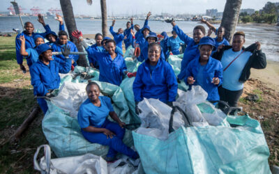 Is Themeda Packaging Eco-friendly?